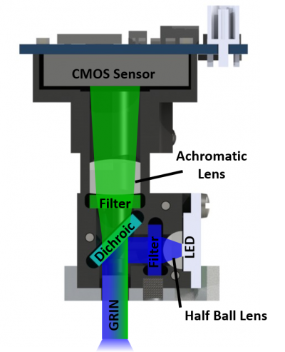 Cross section of scope. Excitation path is in blue. Emission path is in green.